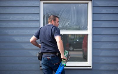 gevelreiniging en ramen zemen