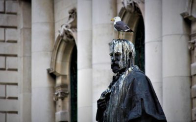 vogelpoep verwijderen van meeuwen