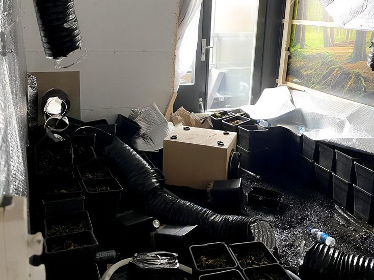 Wietplantage opruimen en schoonmaken