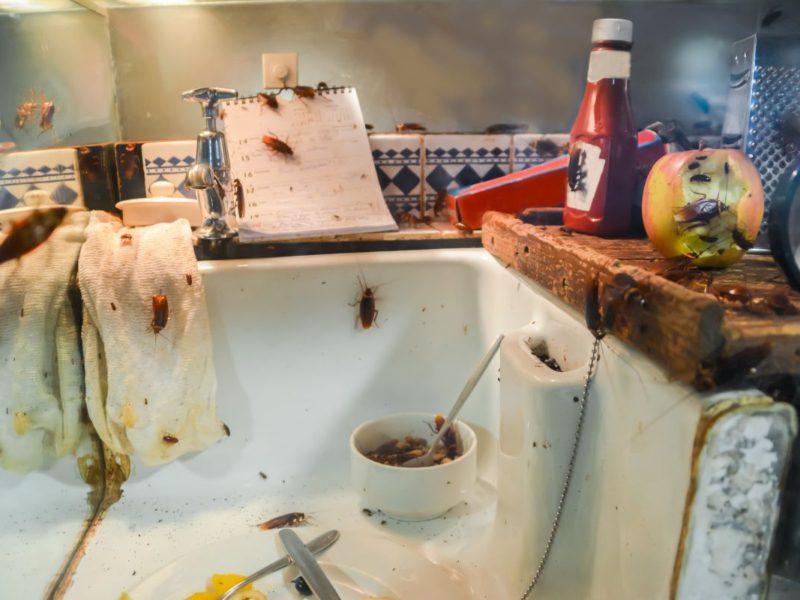 schoonmaken huis na overlijden