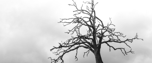 schoonmaken na overlijden of suicide